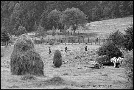 Photo from Romania