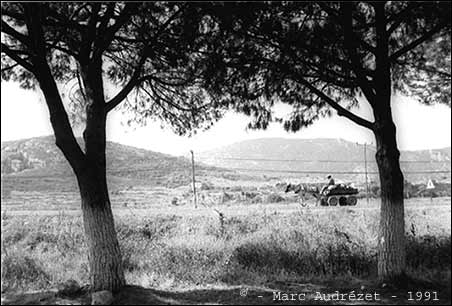 Photo from Turkey