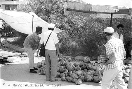 Photo from Turkey